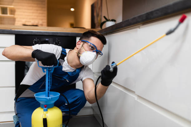 Best Pest Exclusion Services  in Mitchell, IL